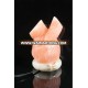 Salt Rocks/Himalayan Salt/ Natural Salt